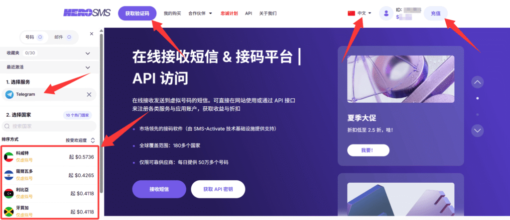 通过 Hero-SMS 购买国外手机号的充值页面