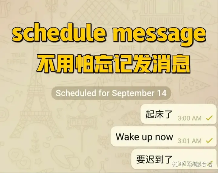 Telegram 实用功能合集：定时消息、双向删除、私密对话等 9 个隐藏技巧（2026）